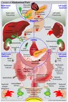 Causes of Abdominal Pain - Treatment at AMDA SG Tel: 6694 1661