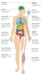 Effects of Stress on the Body - Treatment at AMDA SG Tel: 6694 1661
