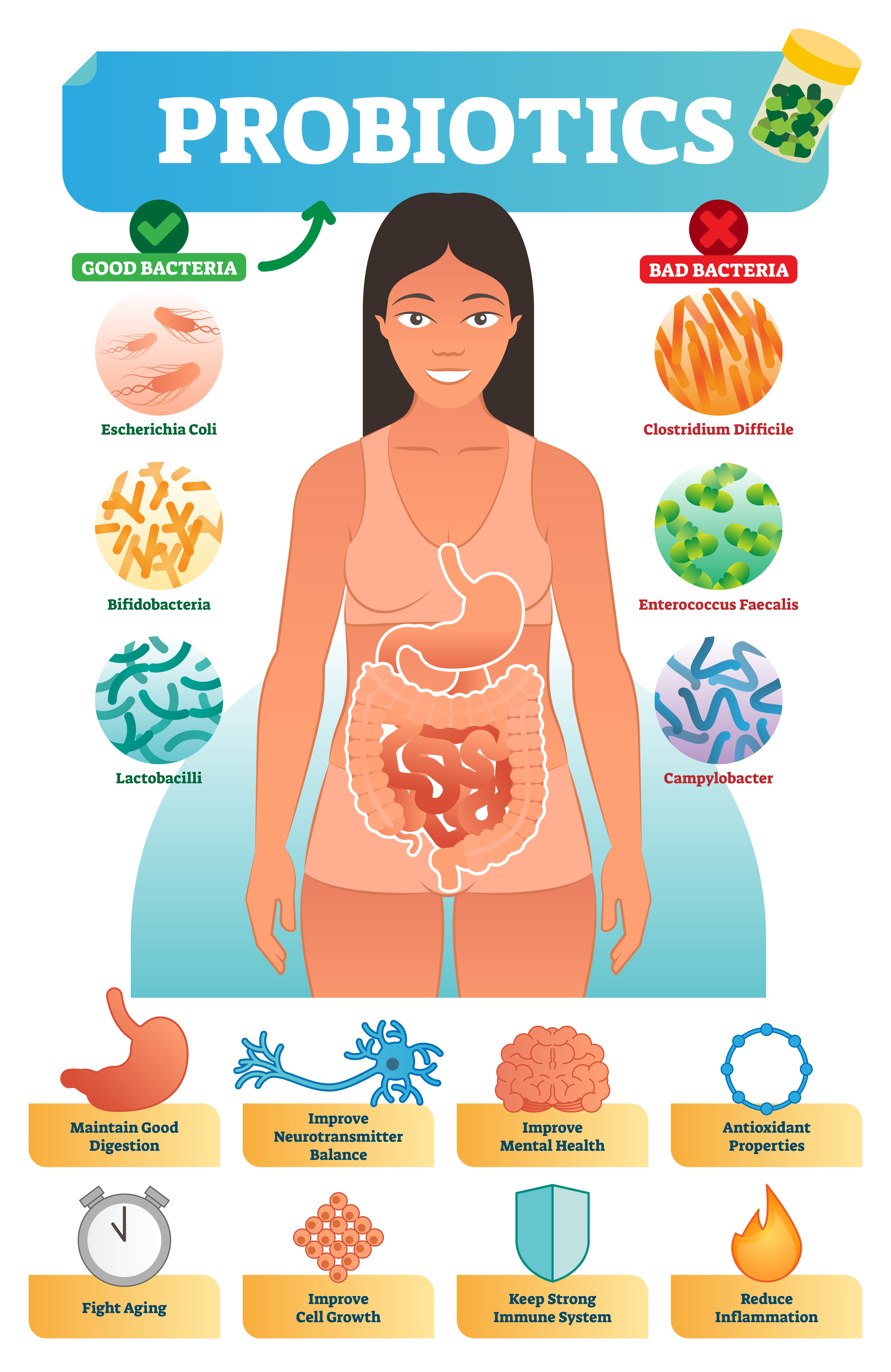 Probiotics / Good Bacteria Effects - MDIMC