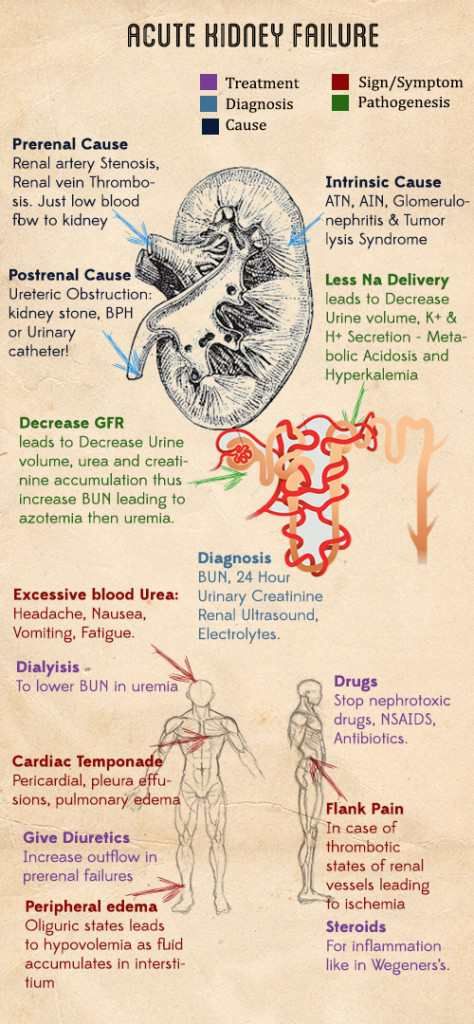 can lamisil cause kidney problems