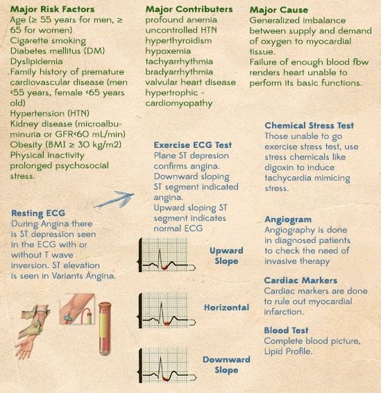 What is Angina? Symptoms, Risk factors, Causes & Treatment.