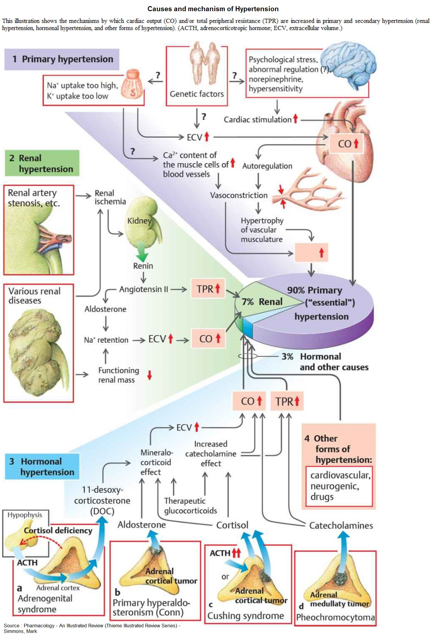 hypertension causes symptoms and treatment