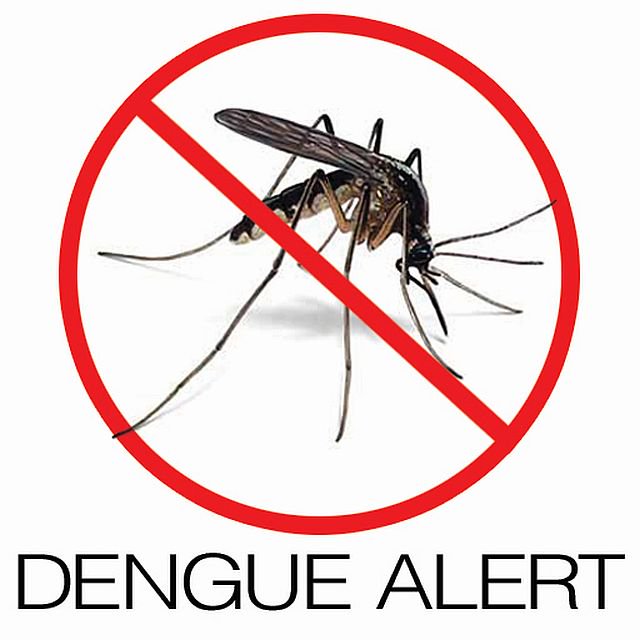 Fight against Dengue! Free Moz Repellent  AMDA Tel: 6694 1661
