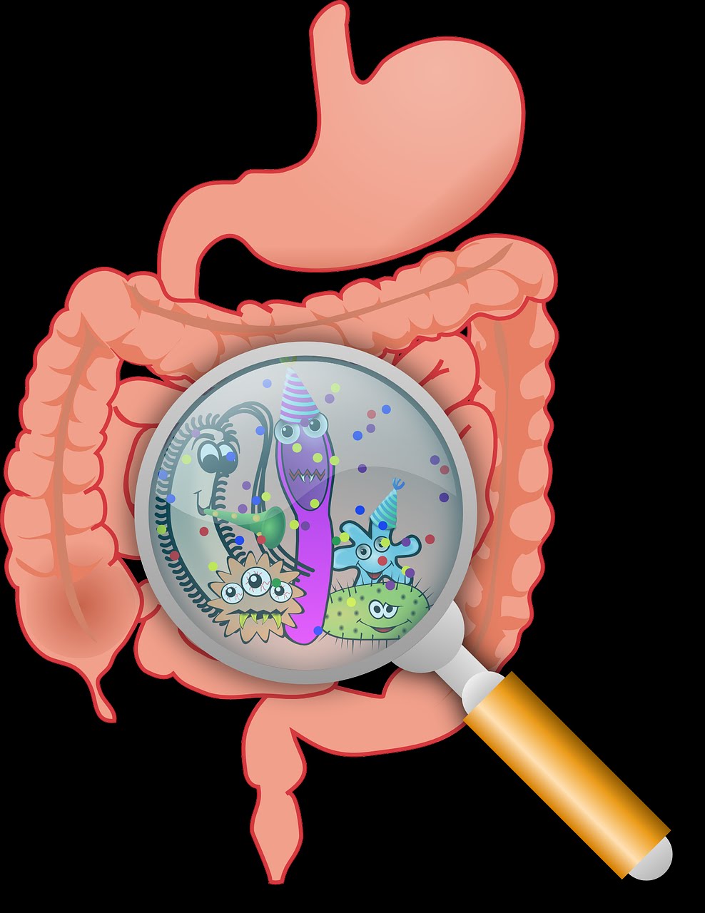 Diarrhea - Symptoms, Cause & Treatment