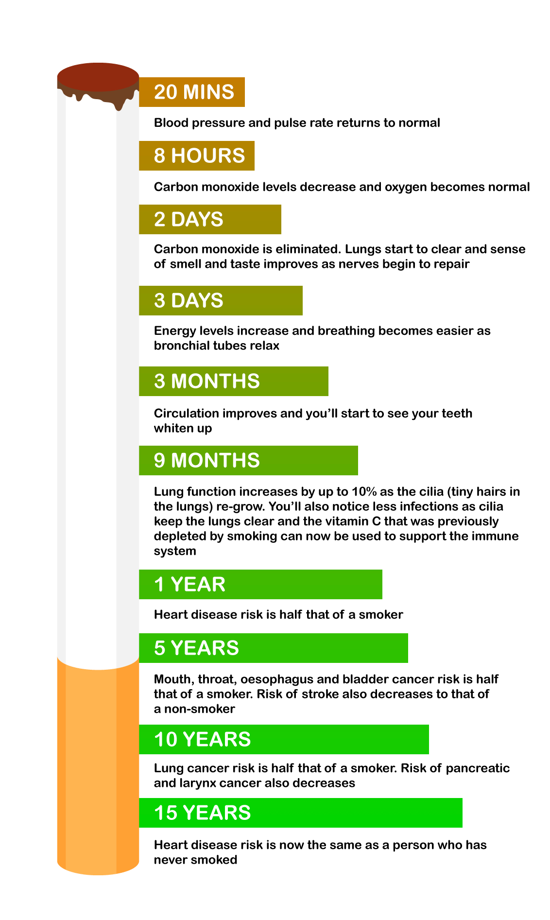 BENEFITS OF QUITTING SMOKING AND A QUIT SMOKING TIMELINE: A Complete Guide  On The Benefits Quitting Smoking And The Timeline For Quitting by Ethan  Phillips