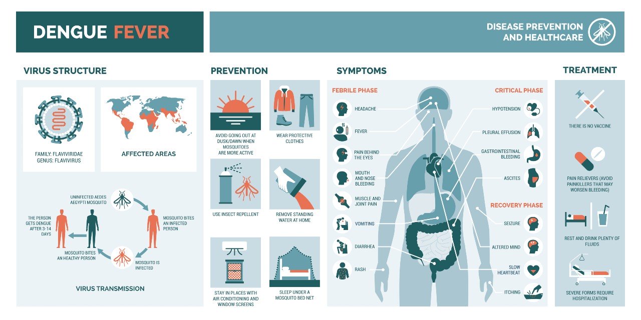 Dengue Fever Symptoms & Prevention - Treatment & Vaccination @ MDIMC